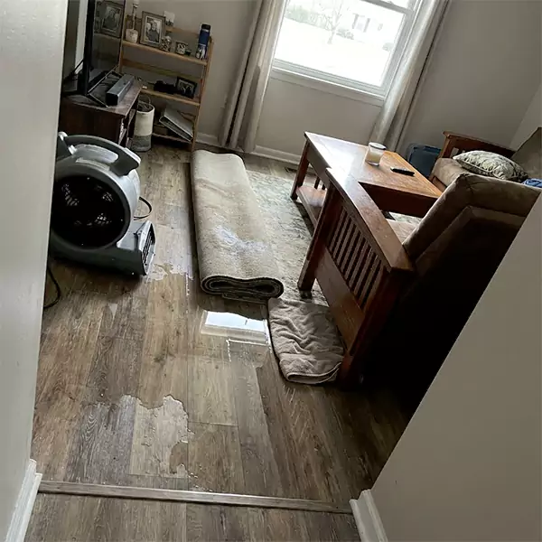 Water Restoration in Delray Beach, FL