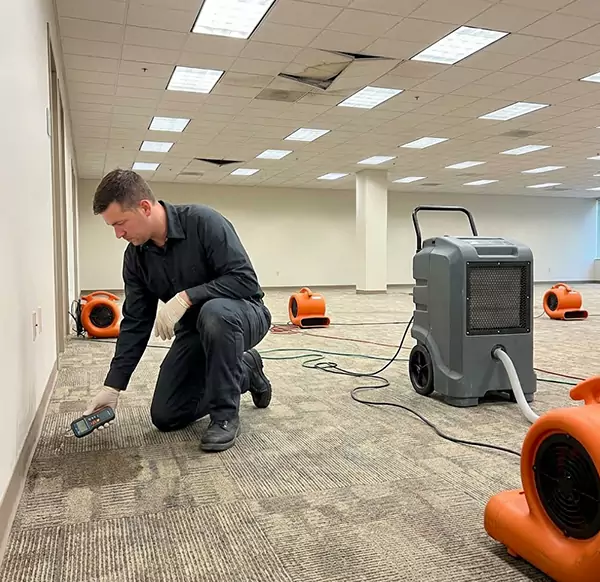 Why Businesses Choose Delray Beach Water Restoration for Commercial Water Damage in Delray Beach, FL?