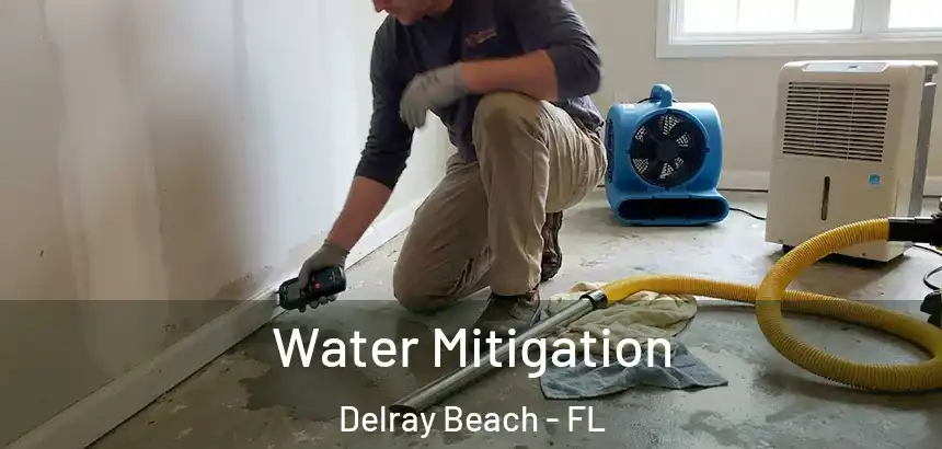 Water Mitigation Delray Beach - FL